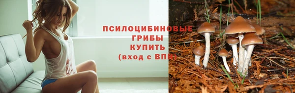 а пвп мука Пестово