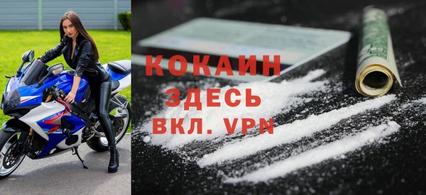 a pvp Пересвет