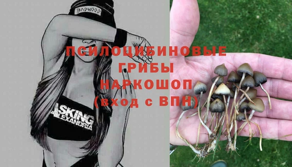 винт Покровск