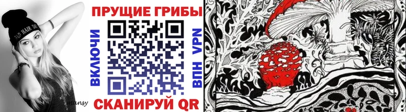 kraken зеркало  Лакинск  Галлюциногенные грибы Psilocybe 